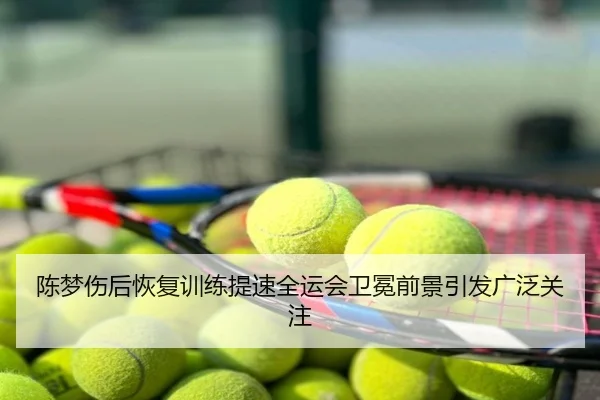 陈梦伤后恢复训练提速全运会卫冕前景引发广泛关注