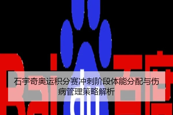石宇奇奥运积分赛冲刺阶段体能分配与伤病管理策略解析